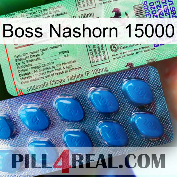 Boss Rhino 15000 new02.jpg